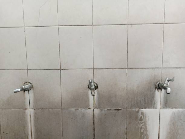 Sewage cleanup and water damage restoration in Sharpes, FL